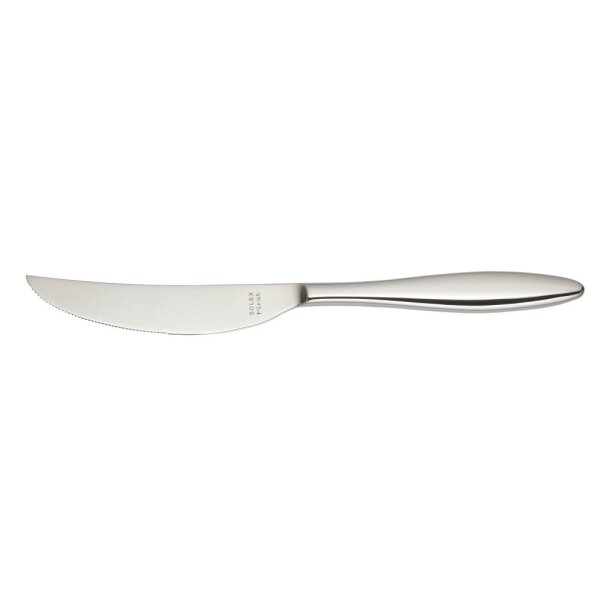 TERRA Steakmesser Vollheft 239 mm