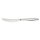 TERRA Steakmesser Vollheft 239 mm