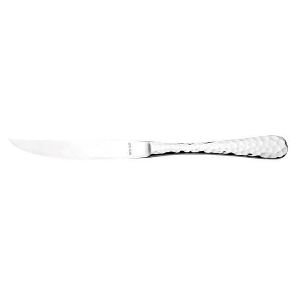 LENA Steakmesser Vollheft 235 mm