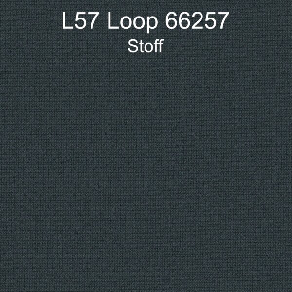 L57 Loop 66257