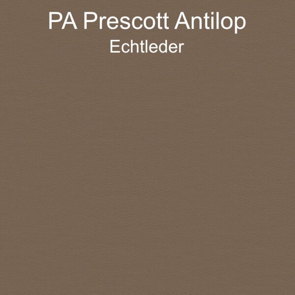 PA Prescott Antilop