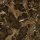 Venezia