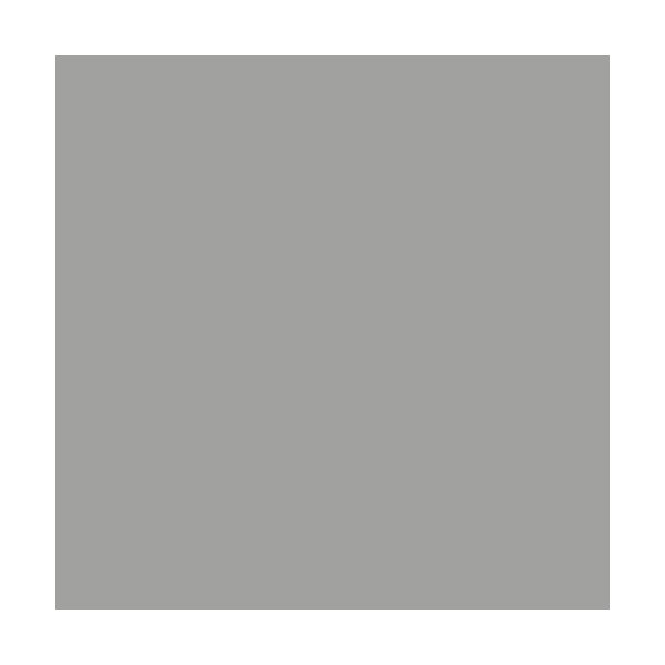 Silber RAL 9006